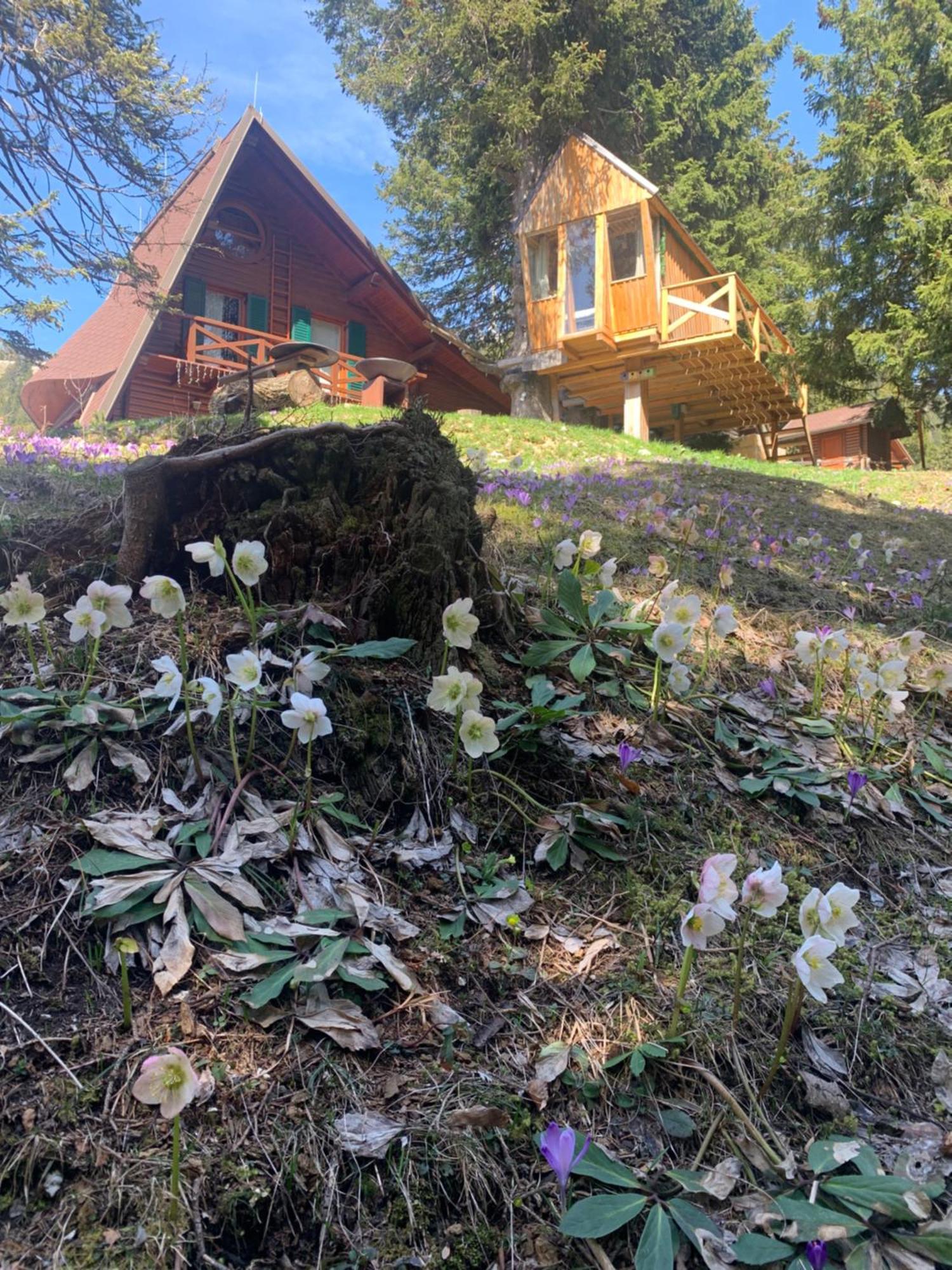 Tree House Alpinka Krvavec Villa Cerklje na Gorenjskem Buitenkant foto